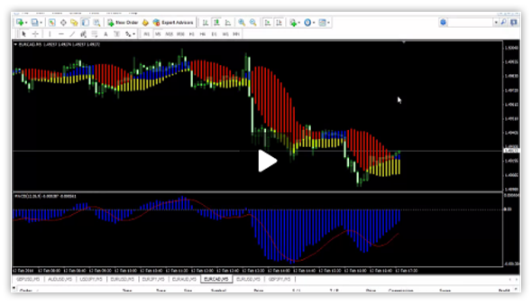 Forex profit matrix by wesley govender